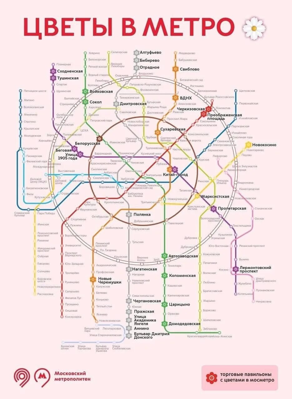 Царицыно какая ветка цвет