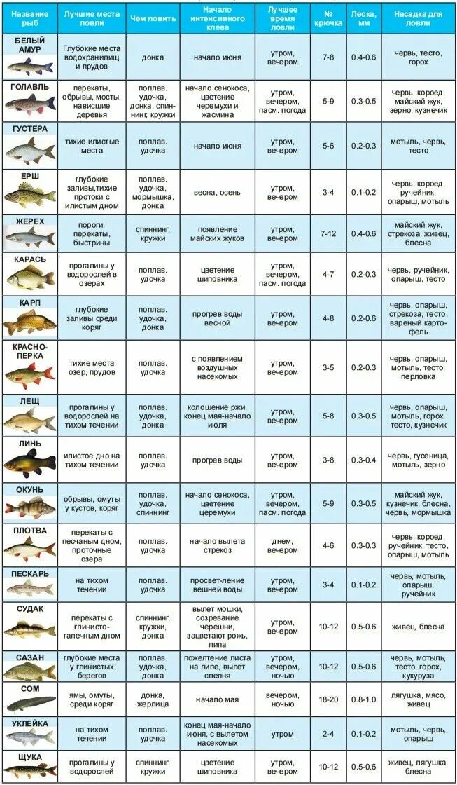 Таблица рыболова. Рыбы таблица. Таблица для рыбаков. Таблица ловли рыбы. Можно ли рыбачить во время