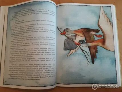 Книге ракитина