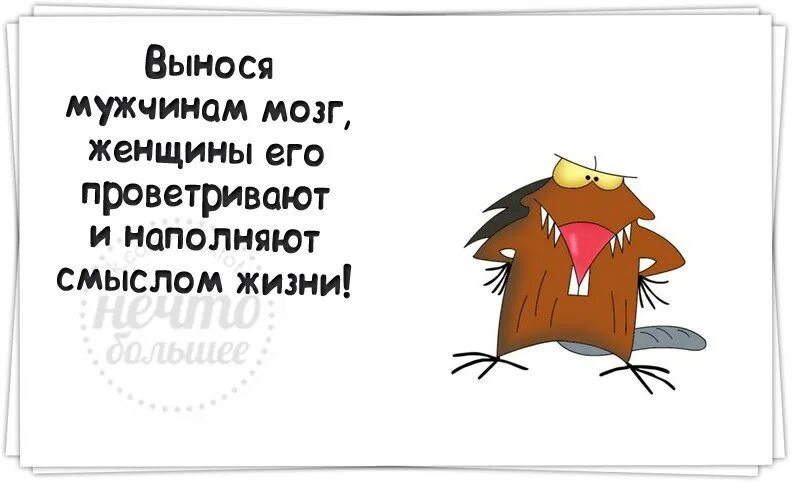 Не выношу женщин. Цитаты про вынос мозга. Выносят мозг. Выносить мозг мужчине. Цитаты про мозги.