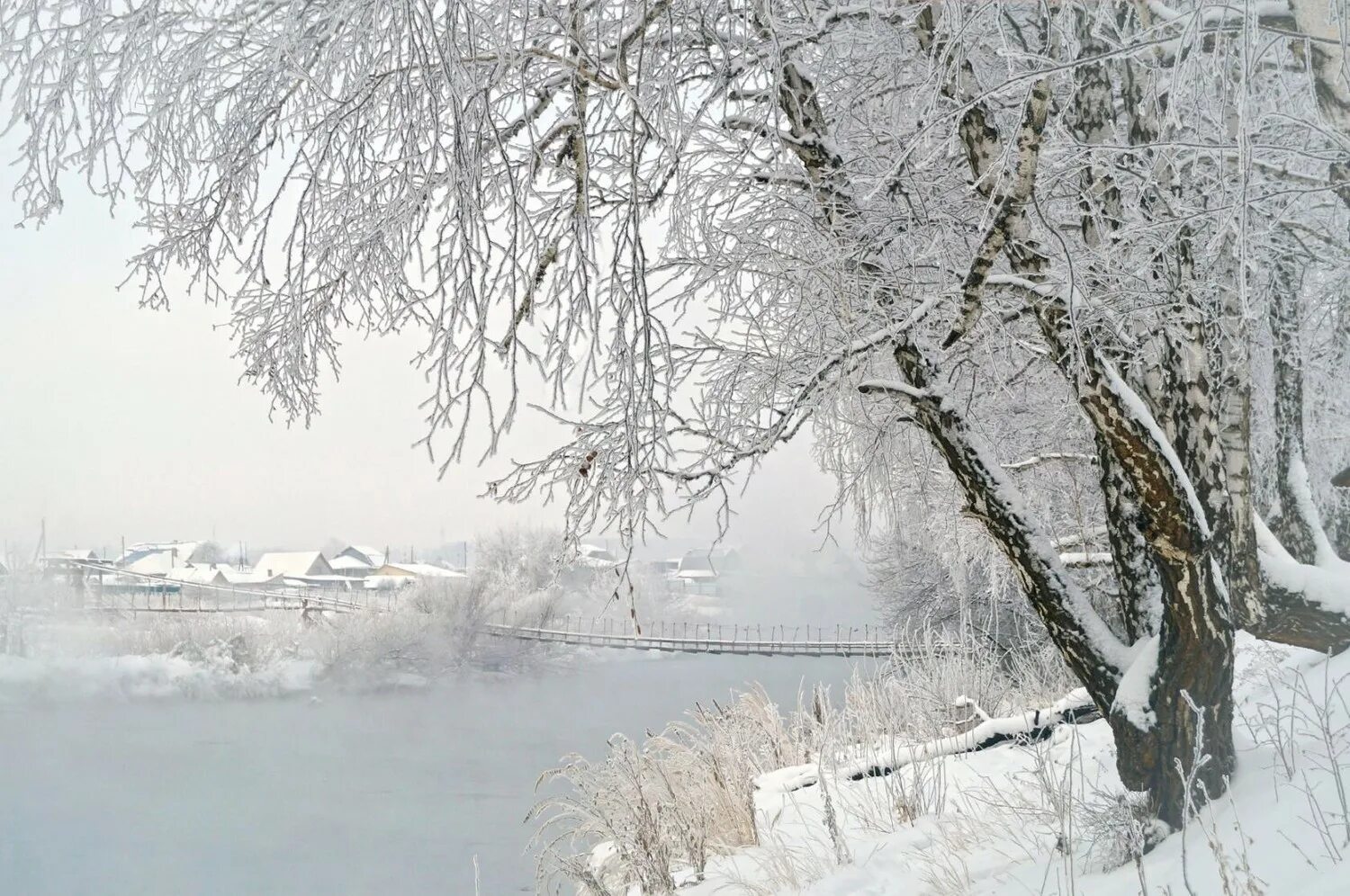 Белый снег. Девушка у окна зимой. Зима идет. Белая вьюга. Волшебница-зима.