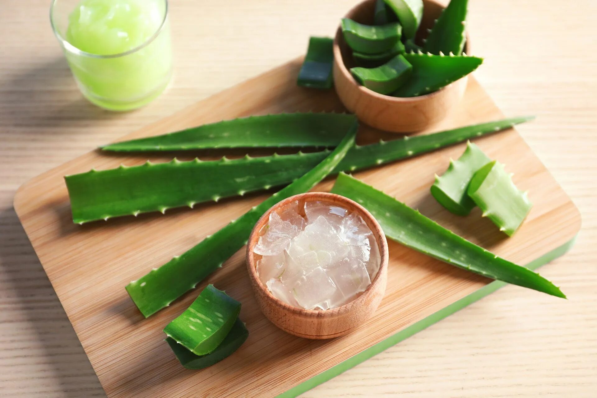 Алоэ гарипензис. Aloe Vera маска.