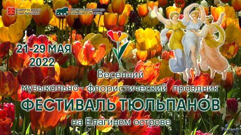 Фестиваль тюльпанов в санкт петербурге 2024 год