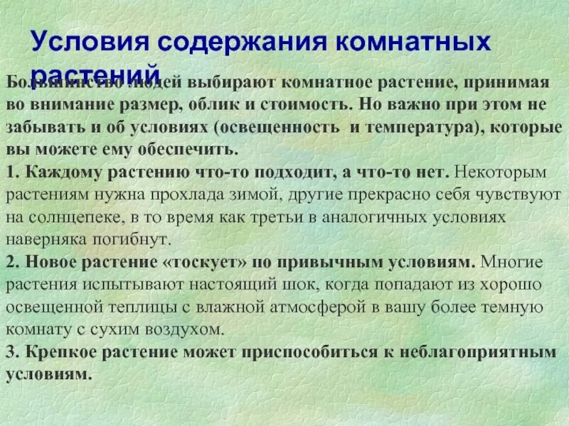 Условия содержания комнатного растения. Условия содержания комнатных растений.