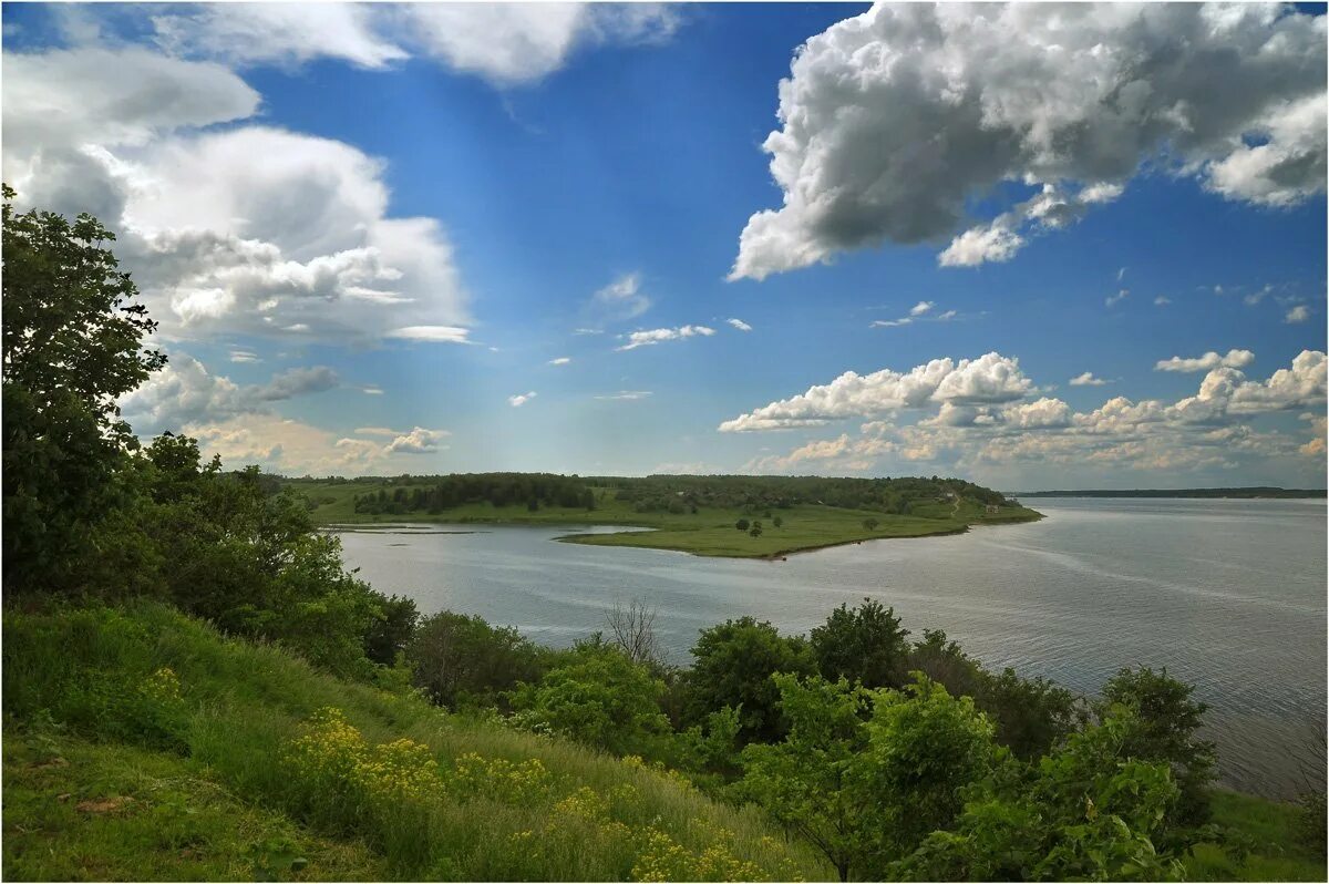 Природа реки волга. Река Волга в Самарской области. Река Волга Приволжье. Река Волга высокий берег Приволжье. Берег Волги Самара.