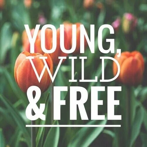 Young Wild And Free Скачать