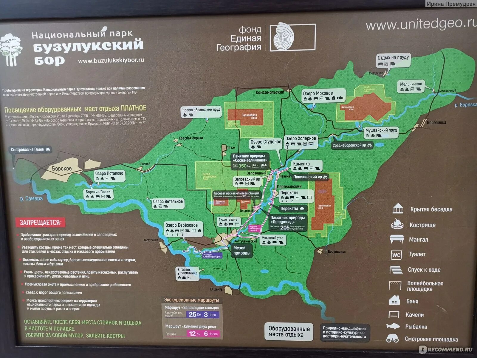 Бузулукский бор национальный парк. Карта бузулукского бора. Бузулукский бор как добраться. Озеро студеное бузулукский бор. Бузулукский бор как добраться.