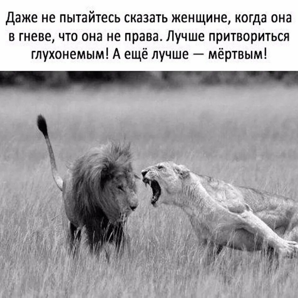 Есть даже несколько