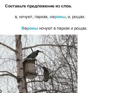 Ворона придумать предложение