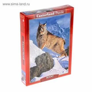 Lynx каталог