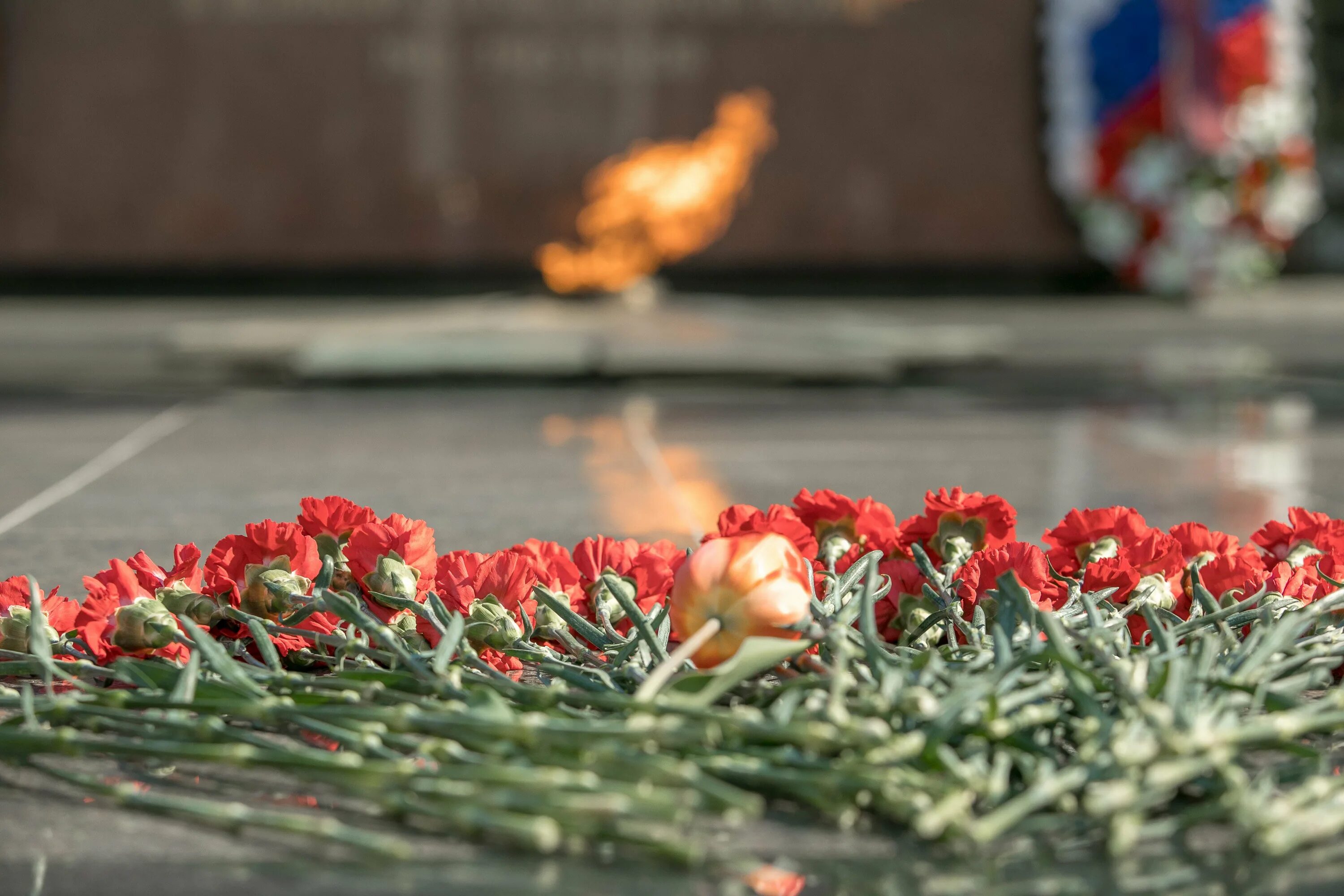 Вечный огонь возложение венков Вологда. Гвоздики на мемориале. Гвоздики возложение