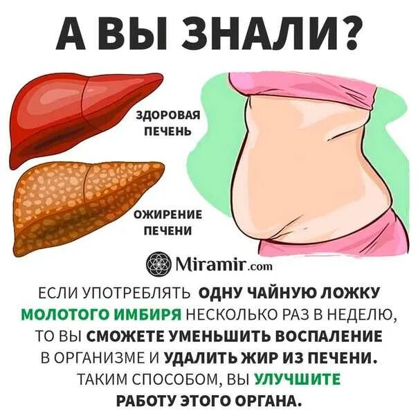 Какие лекарства принимать при жировом гепатозе