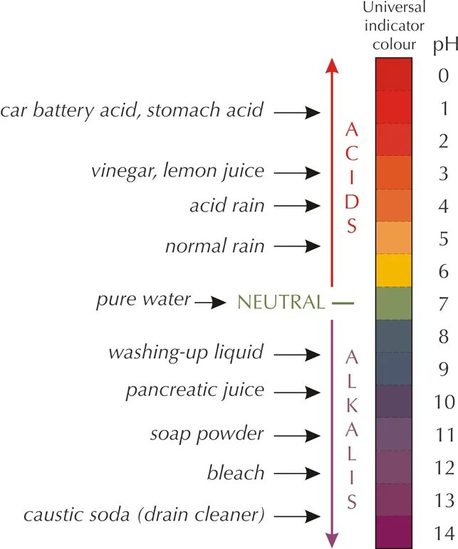Болезни при кислотности. Шкала РН. Таблица PH. PH кислоты. Шкала РН среды.