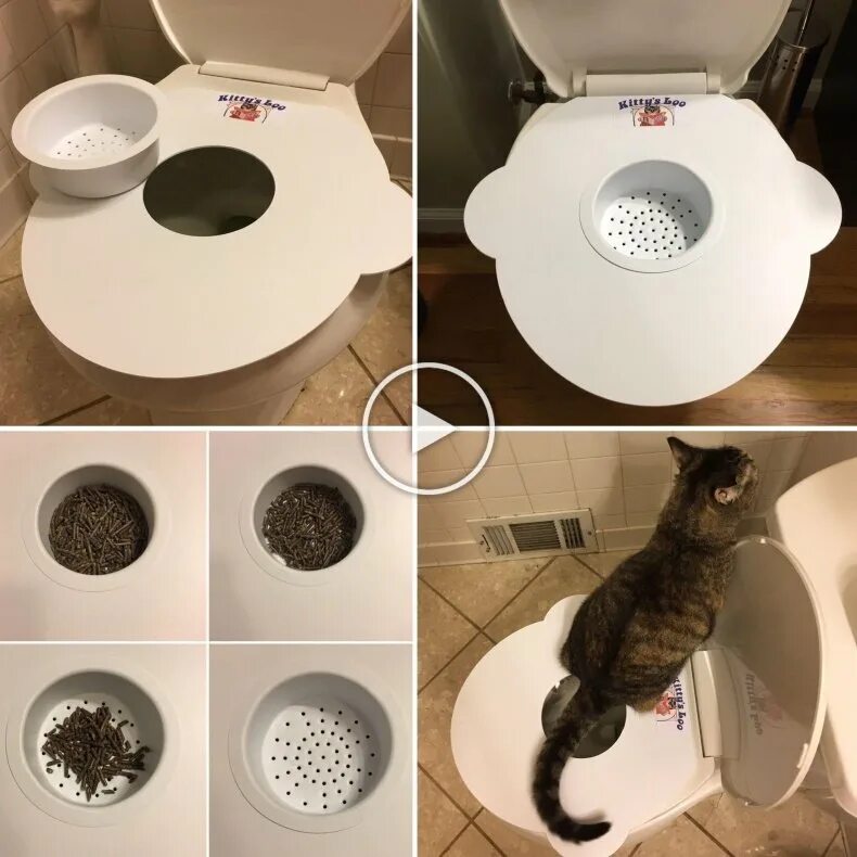 Как приучить кота к туалету. Система приучения кота к унитазу. пр учение кота к унитаз. приспособление для унитаза для кошек. унитаз для кошек.