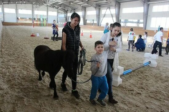 Кск алматы. Кск алматы. Кск воля. Кск алматы. Конно-спортивный комплекс тулпар.