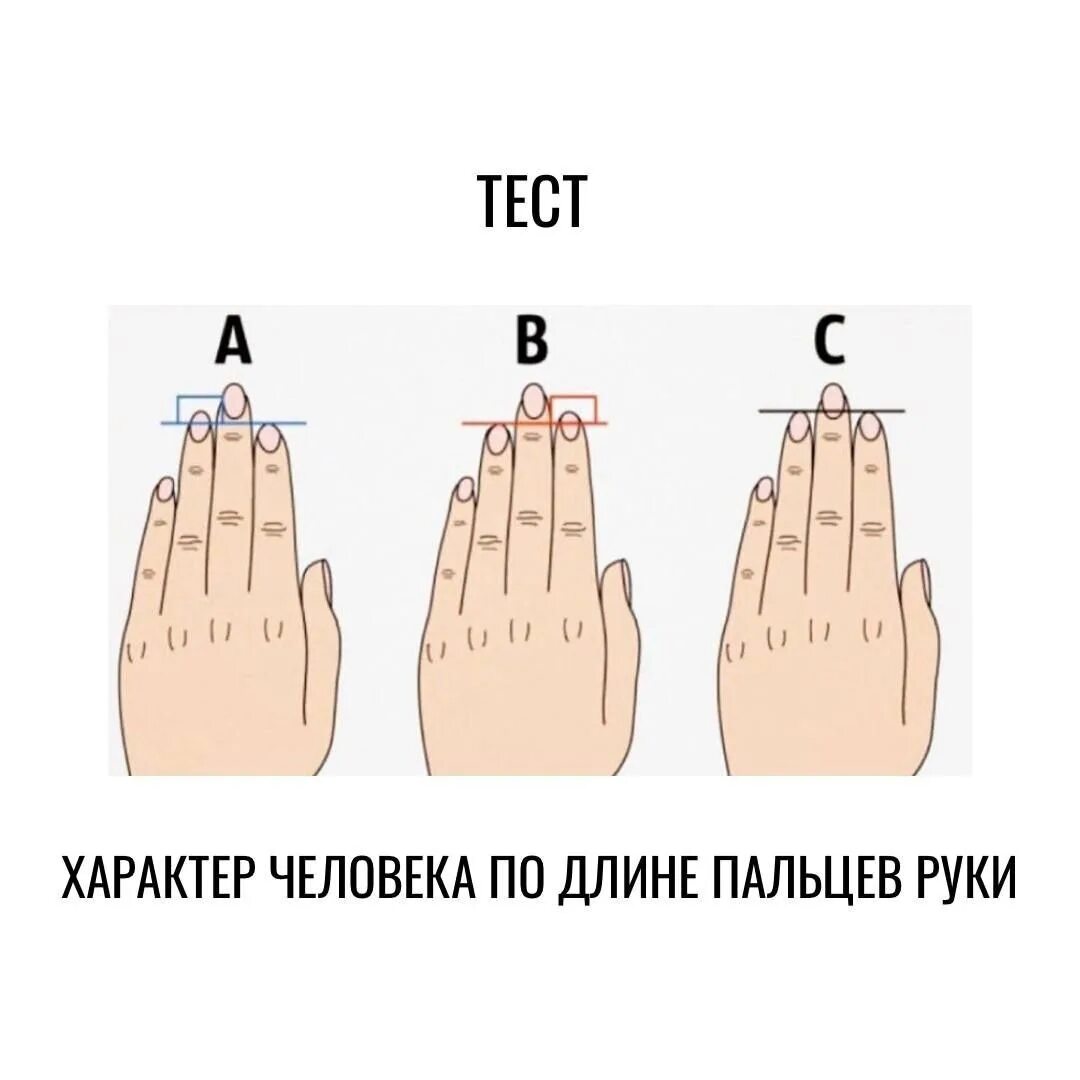 Длина пальцев женщин. Характер по длине пальцев рук. Характер по длине мизинца. Характер человека по длине пальцев на ладони. Пальцы на руках характер человека.