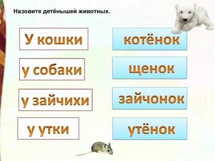 Как называют детеныша