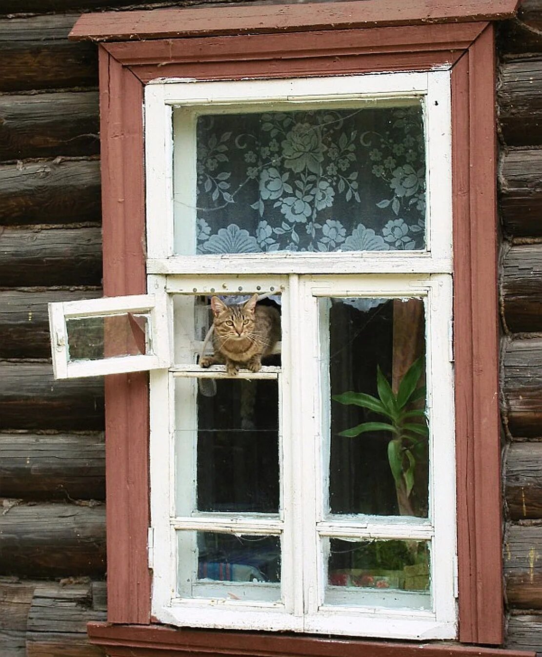 Пластиковые окна в старых домах. Деревянные окна. Советские деревянные окна. Оконная рама деревянная. Форточка.