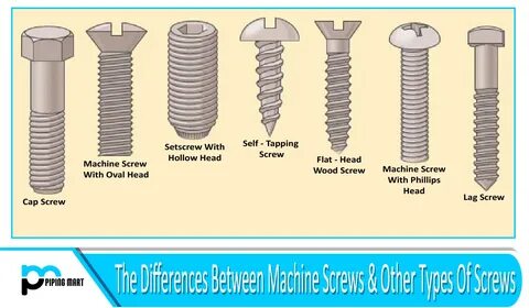 Family screw