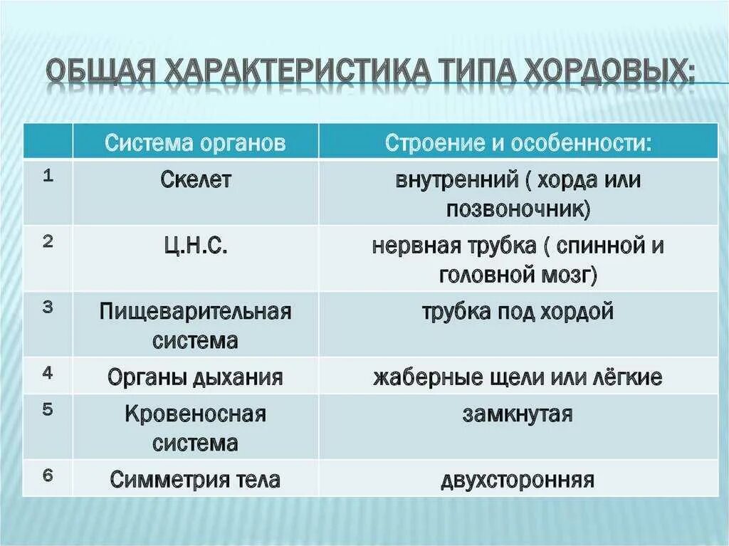 Биология тест тип хордовые. Общие черты строения хордовых животных. Основные черты строения хордовых. Характеристика хордовых 7 класс. Характеристика типа Хордовые.