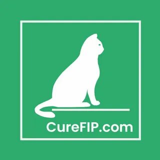 Fip net