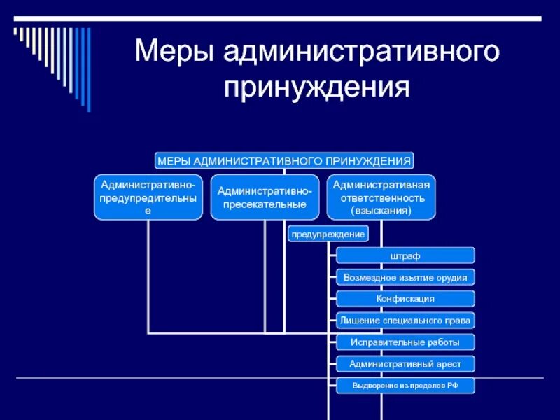 Иные меры административного принуждения