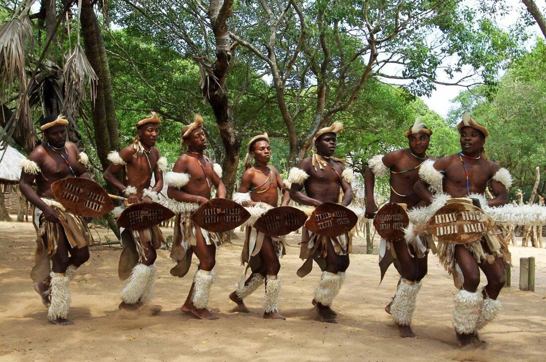 Племя зулусов в Африке. Африканские танцы. Танцы народов Африки. Танцы африканских племен. Zulu tribe