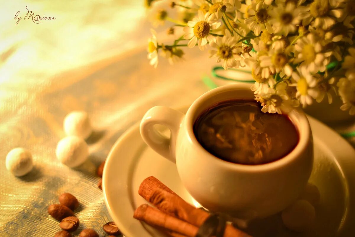 Утро года 5 букв. Утро кофе солнце. Кофе и цветы. Солнечное утро и кофе. Солнечное утро с чашкой кофе.
