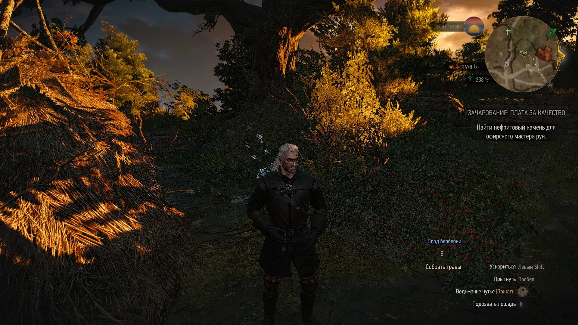 Ведьмак 3 дикая охота плоды балиссы. Ведьмак 3 плод балиссы. Ведьмак 3 балисса где найти. Плод балиссы ведьмак. Ведьмак 3 балисса где найти.