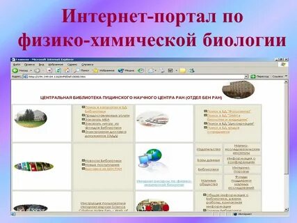 Информатика в биологии