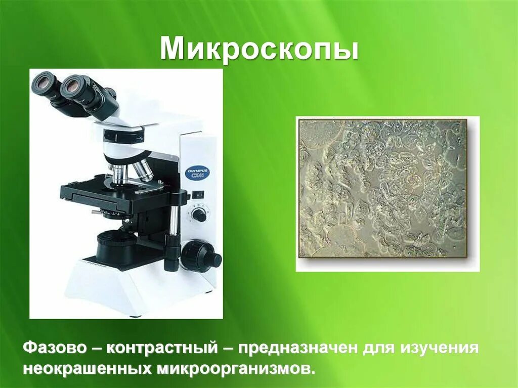 4 микроскоп. 4 микроскоп