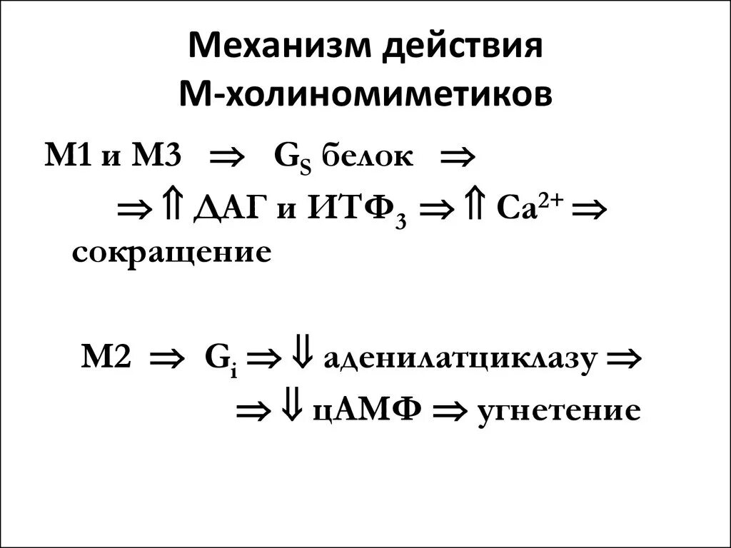 Механизм действия м холиномиметиков. М холиномиметики механизм действия кратко. Мн холиномиметики механизм действия. М И Н холиномиметики препараты механизм действия.