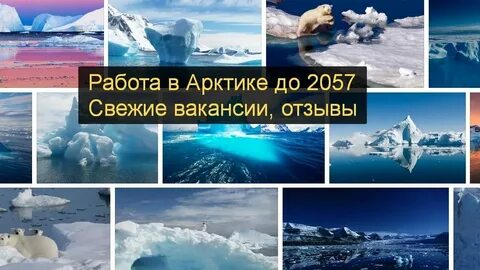 Арктик вакансии