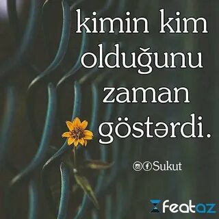 Pis dost