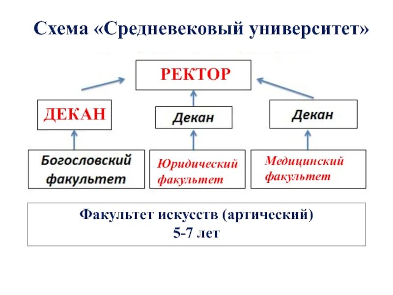 Декан ректор проректор иерархия. Структура управления вуза схема. Ректор и декан. Ректор и декан. Схема средневекового университета.