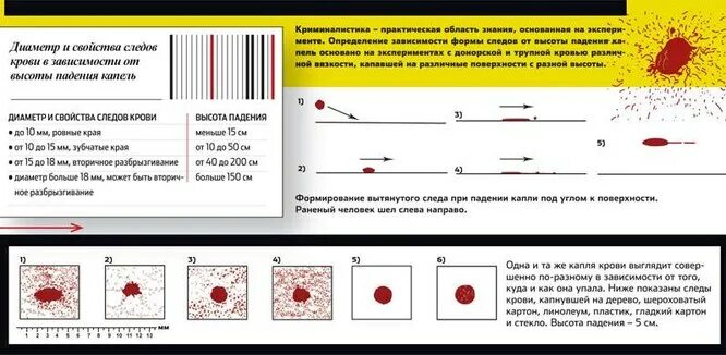 Сколько капель крови. Форма пятен крови криминалистика. Классификация следов крови в криминалистике. Механизм образования следов крови. Классификация пятен крови.