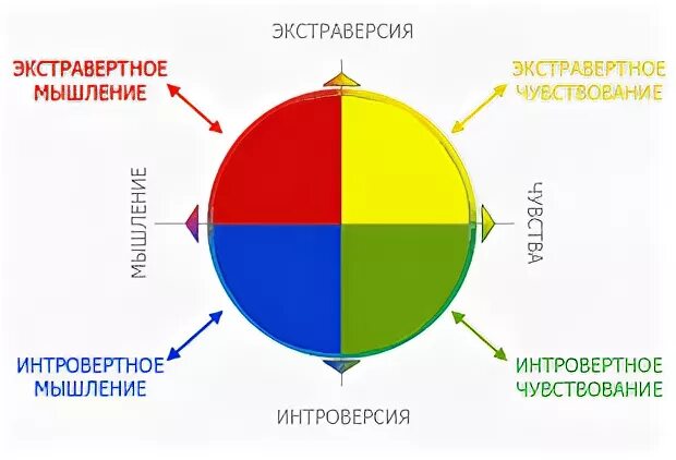 Типы личности красный синий зеленый желтый тест. Disc типы личности. Типология Disc. Психотипы личности диск. Понятие экстраверсии интроверсии