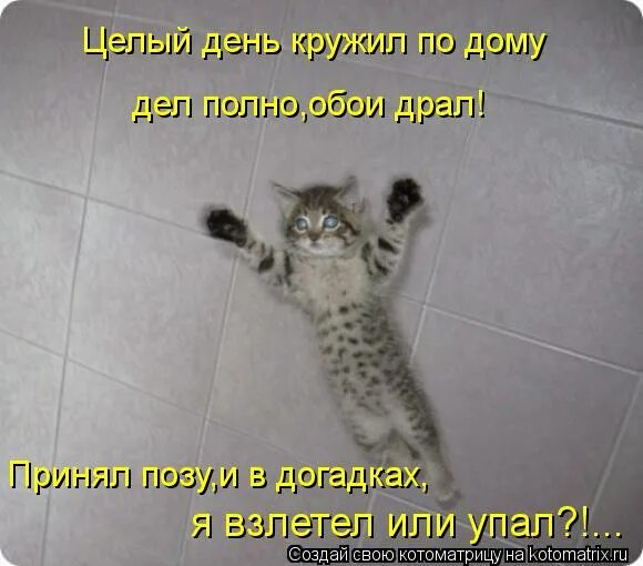 нежность счастье. женщина в стрессе. нежность в цветах. круженный день. летние картинки.