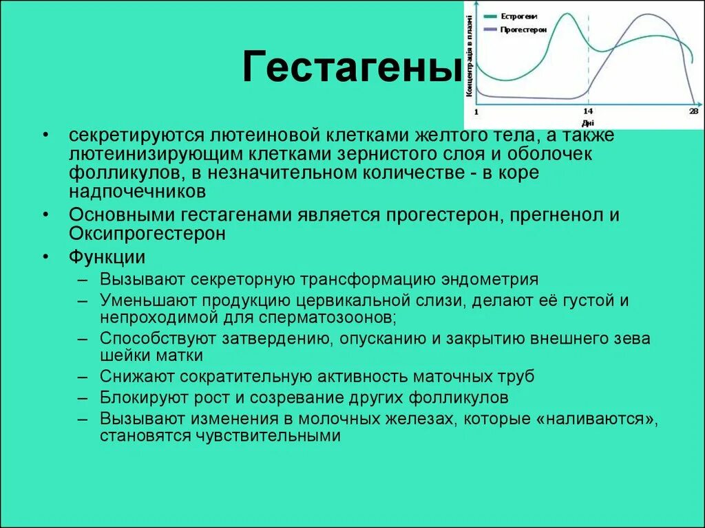 Прогестерон функции. Гестагены. гестаген функции. эстрадиол органы мишени. эстрадиол клетки мишени.