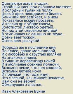 Осыпаются астры в садах стройный клен