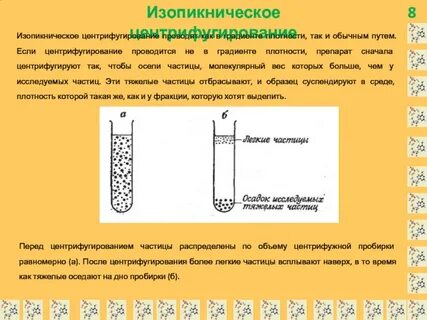Собирают в пробирку дном