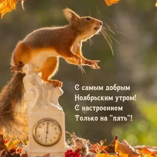 С добрым осенним утром прикольные позитивные