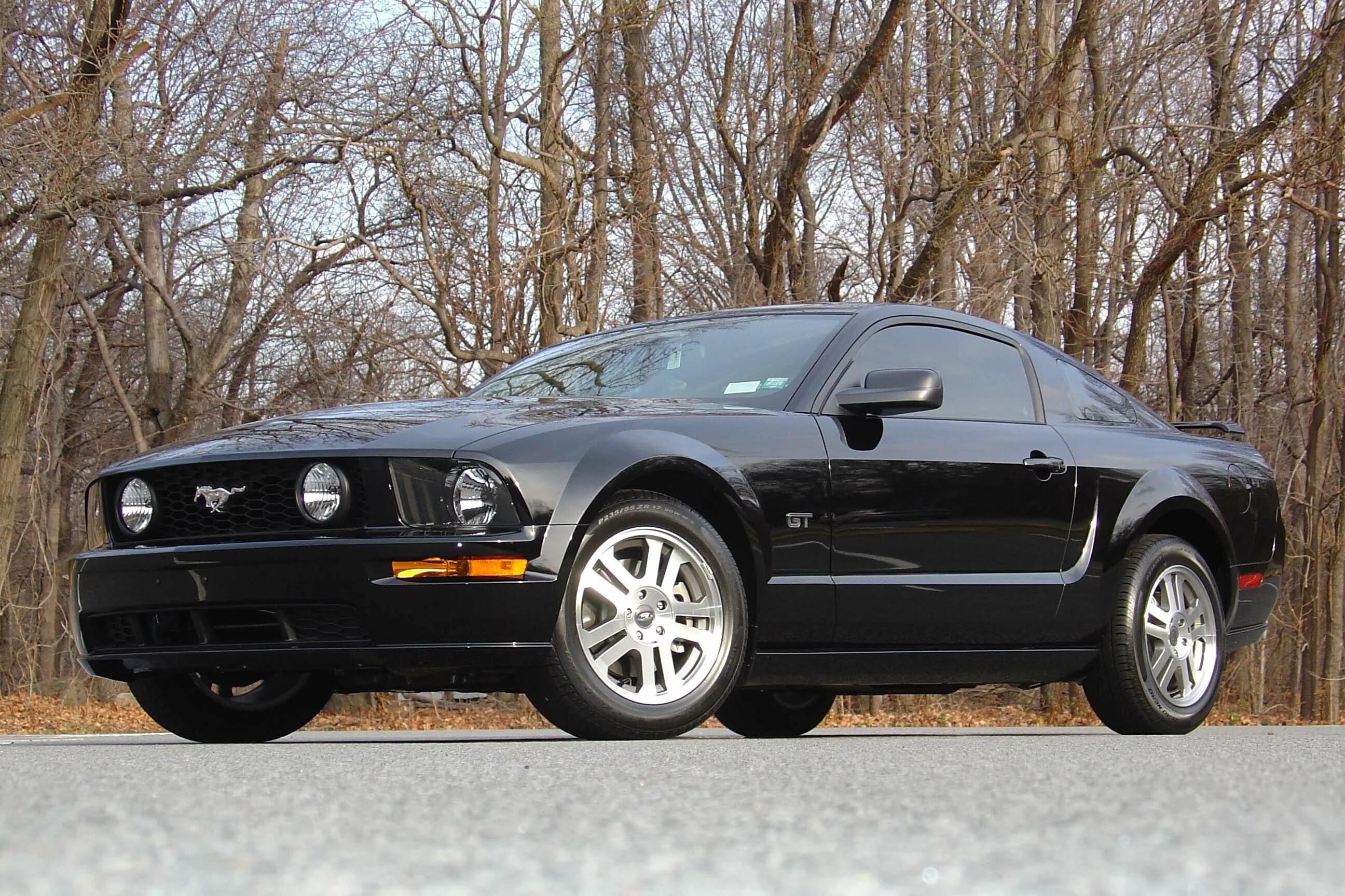 Ford Mustang gt 2005. Ford Mustang Shelby 2005. Ford Mustang 2005 черный. Форд Мустанг 2005 черный.