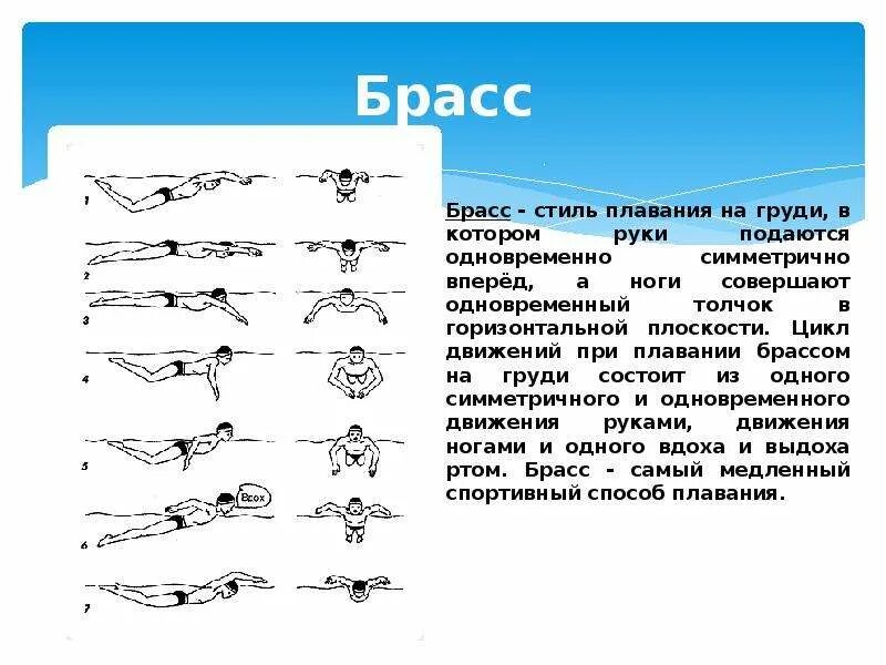 Плавание брассом и кролем. Кроль и брасс плавание. Техника плавания стилем Кроль на груди и стиль брасс. Техника спортивного способа плавания брасс.. Техники брасс Кроль Баттерфляй.