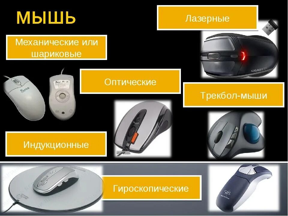 Как выбрать компьютерную мышь