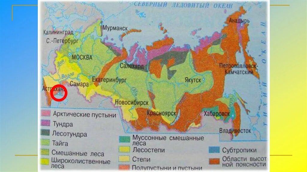 Субтропики на карте. Зона субтропиков в России на карте. Природные зоны России субтропики.