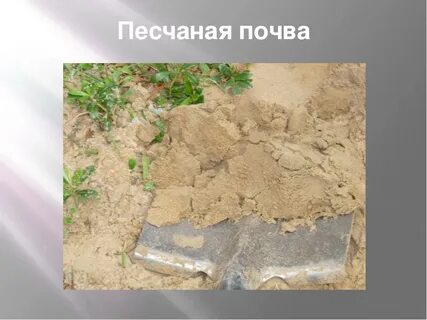 Глинистая почва почему и