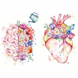 Мозг сердца человека