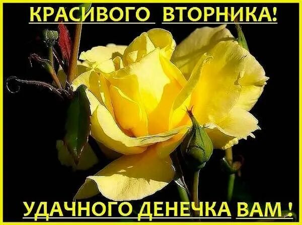 ❄ ✨ ЧУДО В ДЕКАБРЕ СЛУЧИТСЯ - В СЕНТЯБРЕ МАЛЫШ РОДИТСЯ! ✨ ❄ - Страница 36 - План