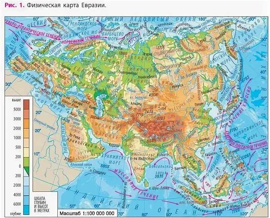 На какие части света делится евразия